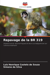 Repavage de la BR 319