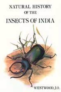 Natural History of Indian Insects