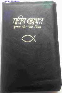 Holy Bible HINDI Small Size- Machli (Fish)Bible
