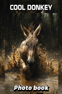 Cool Donkey Photo Book