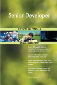 Senior Developer Critical Questions Skills Assessment