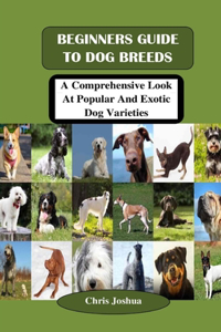 Beginners Guide to Dog Breeds