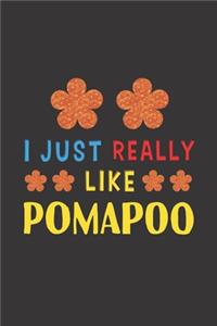 I Just Really Like Pomapoo
