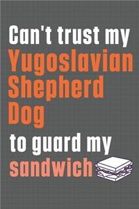 Can't trust my Yugoslavian Shepherd Dog to guard my sandwich
