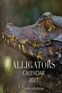 Alligators Calendar 2021: 16 Month Calendar