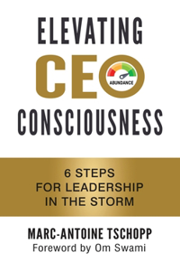 Elevating CEO Consciousness