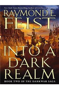 Into a Dark Realm