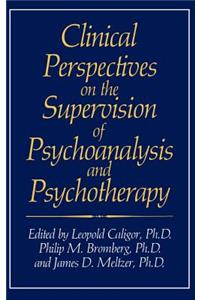 Clinical Perspectives on the Supervision of Psychoanalysis and Psychotherapy