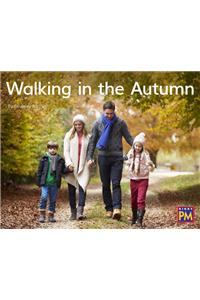 Walking in the Autumn