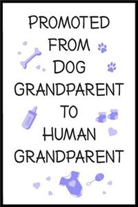 Promoted From Dog Grandparent To Human Grandparent