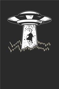 Mouse UFO