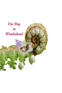 One Day In Wonderland