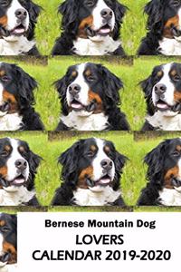 Bernese Mountain Dog Lovers Calendar 2019-2020