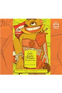 Gabi, a Girl in Pieces