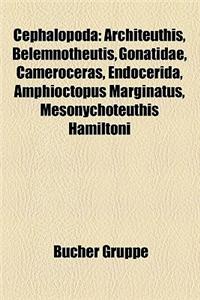 Cephalopoda: Architeuthis, Belemnotheutis, Gonatidae, Cameroceras, Endocerida, Amphioctopus Marginatus, Mesonychoteuthis Hamiltoni