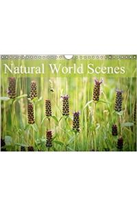 Natural World Scenes 2018
