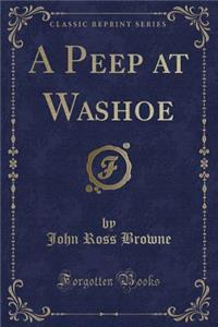 A Peep at Washoe (Classic Reprint)