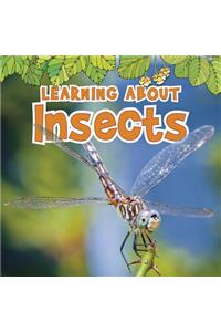 Learning about Insects