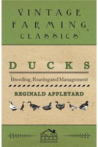 Ducks - Breeding, Rearing and Management