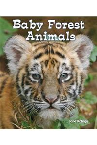 Baby Forest Animals