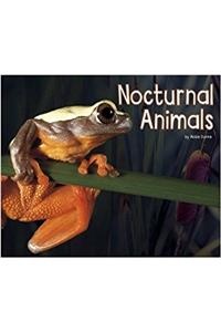 Nocturnal Animals