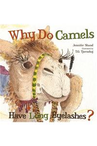 Why Do Camels Have Long Eyelashes?