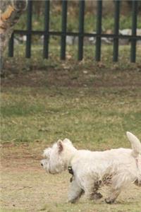Scottish Terrier in the Grass Dog Journal