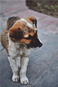 Little Lost Puppy Dog Journal