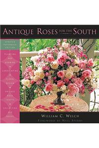 Antique Roses for the South