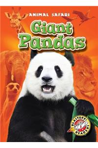 Giant Pandas