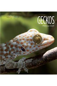 Living Wild: Geckos