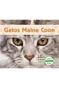 Gatos Maine Coon (Maine Coon Cats) (Spanish Version)