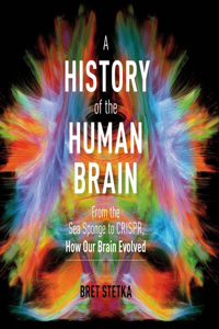 History of the Human Brain