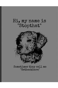 Hi, My Name Is 