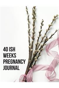 40ish Weeks Pregnancy Journal
