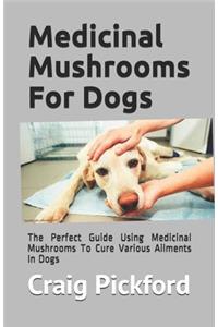 Medicinal Mushrooms For Dogs