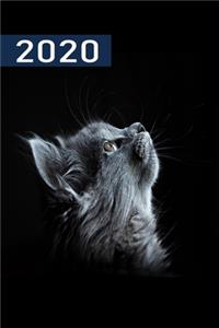 2020
