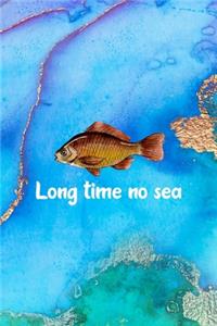 Long Time No Sea