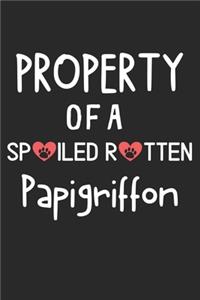 Property Of A Spoiled Rotten Papigriffon