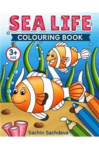 Sea Life Colouring Book