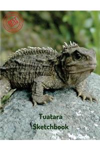 Tuatara Sketchbook