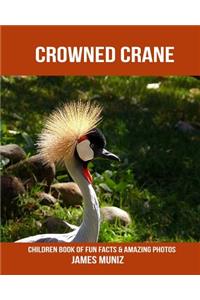 Crowned Crane