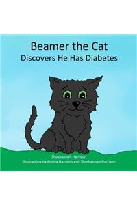 Beamer the Cat: Discovers He Has Diabetes