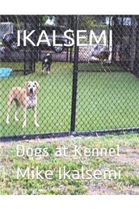 Ikalsemi