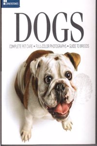 (F2L) Cornerstones: Dog