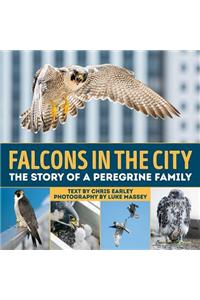 Falcons in the City