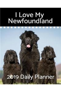 I Love My Newfoundland