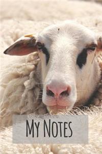 My Notes