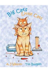 Big Cats, Little Cats