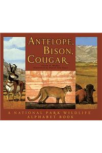 Antelope, Bison, Cougar